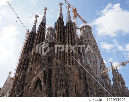 Famous cathedral in European city of Barcelona, Spain 125955695
