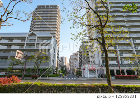 JR尼崎駅周辺(尼崎駅、キューズモール、尼崎中央病院、潮江1丁目周辺) JR尼崎駅周辺(尼崎駅、キューズモール、尼崎中央病院、潮江1丁目周辺) 125955831