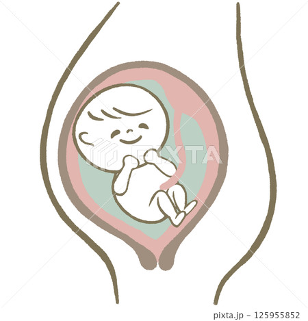 お腹の中の赤ちゃん お腹の中の赤ちゃん 125955852