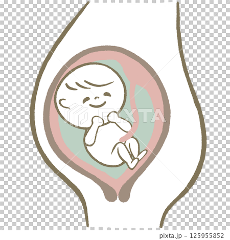 お腹の中の赤ちゃん お腹の中の赤ちゃん 125955852