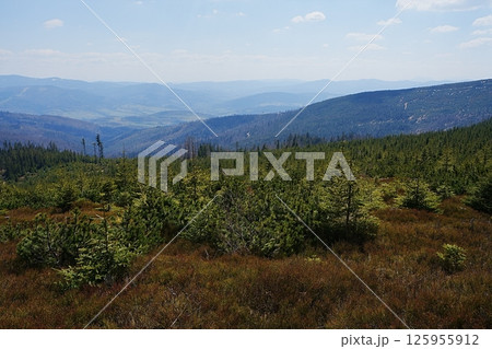 Brilliant Silesian Beskid near European Szczyrk town in Poland 125955912