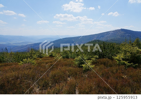 Barania Gora mount, 1,220 metres at Silesian Beskids near Szczyrk in Poland 125955913