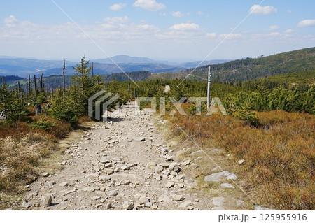 Stony trail in Silesian Beskids near European Szczyrk town in Poland Stony trail in Silesian Beskids near European Szczyrk town in Poland 125955916