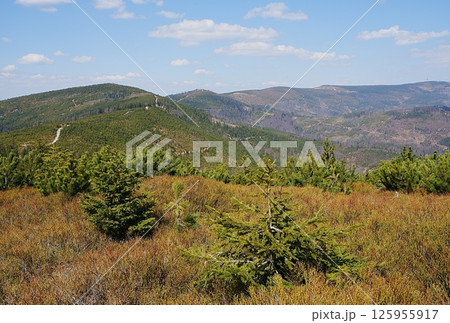 View to Silesian Beskids near Szczyrk town in Poland 125955917