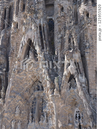 Focus of basilica facade in Barcelona city in Spain - vertical 125955920