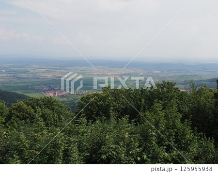 Landscape from Koenigsbourg castle in Alsace in France Landscape from Koenigsbourg castle in Alsace in France 125955938