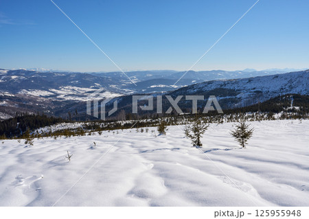 Winter scenery of Silesian Beskid on Bialy Krzyz in Poland Winter scenery of Silesian Beskid on Bialy Krzyz in Poland 125955948