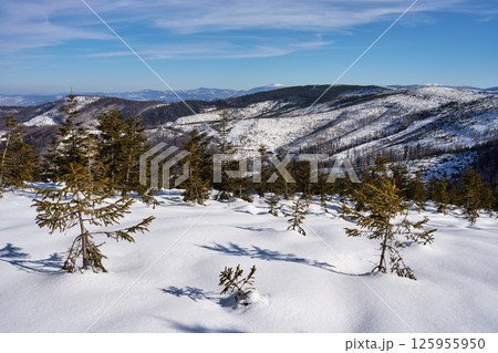 Snowy view of Silesian Beskid on Bialy Krzyz in Poland Snowy view of Silesian Beskid on Bialy Krzyz in Poland 125955950