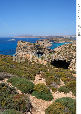 Beauty landscape with crystal lagoon in European Comino island in Malta - vertical Beauty landscape with crystal lagoon in European Comino island in Malta - vertical 125955957