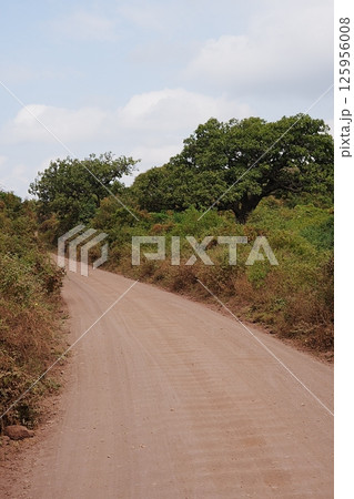 Gravel route in African Lake Manyara National Park in Arusha region in TANZANIA - vertical 125956008