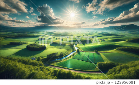 北海道の広大な穀倉地帯　穀物畑 125956081