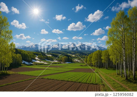 北海道の残雪が残る広大な穀倉地帯 野菜畑 北海道の残雪が残る広大な穀倉地帯 野菜畑 125956082
