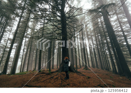 Misty forest at Mount Floyen, Bergen 125956412