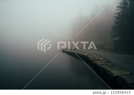Misty forest at Mount Floyen, Bergen Misty forest at Mount Floyen, Bergen 125956415