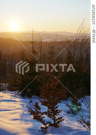 Sun set over Silesian Beskid near Bialy Krzyz, Szczyrk in Poland - vertical 125956520