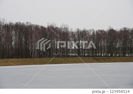 Frozen Vistula river and trees in Goczalkowice town at Silesian district in Poland Frozen Vistula river and trees in Goczalkowice town at Silesian district in Poland 125956524