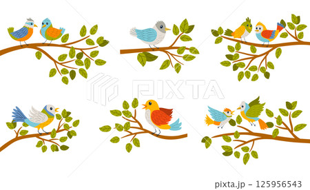 Cartoon flat style illustration of colorful birds sitting on tree branches. Bright, playful design with bright colors and a cheerful nature theme. Cartoon flat style illustration of colorful birds sitting on tree branches. Bright, playful design with bright colors and a cheerful nature theme. 125956543