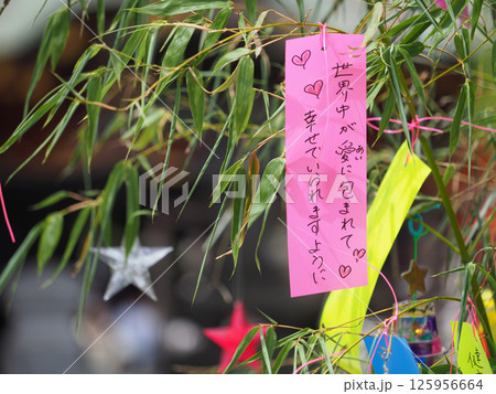 七夕の短冊 七夕の短冊 125956664
