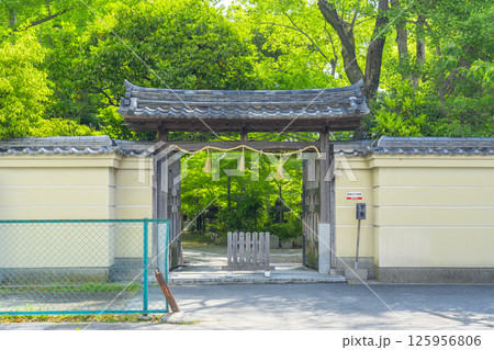 杭全神社　新緑に包まれた西門 125956806