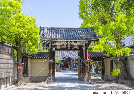 杭全神社 新緑に包まれた大門 杭全神社 新緑に包まれた大門 125956808