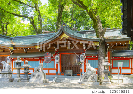 杭全神社 新緑に包まれた第三本殿 杭全神社 新緑に包まれた第三本殿 125956811