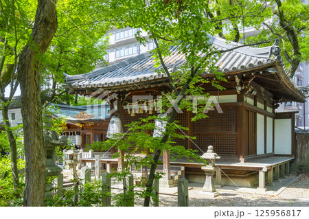 杭全神社　新緑に包まれた田村堂（祖霊社） 125956817