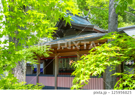 杭全神社　吉岡稲荷大明神 125956825