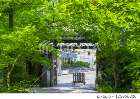 杭全神社　新緑に包まれた西門 125956826