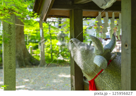 杭全神社 新緑に包まれた御神牛 杭全神社 新緑に包まれた御神牛 125956827