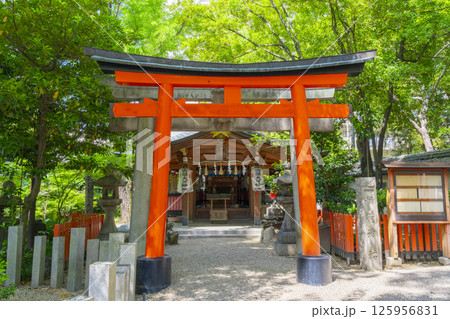杭全神社　吉岡稲荷大明神 125956831