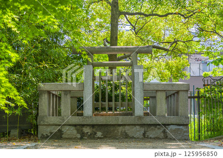 杭全神社　遥拝所 125956850