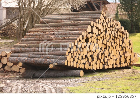 A pile of logs is stacked in a field 125956857