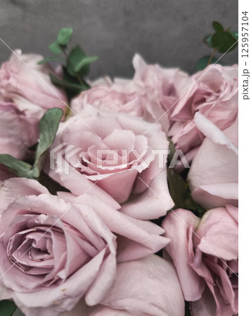 Delicate pink roses forming a bridal bouquet for wedding celebration wallpaper background copy space 125957104