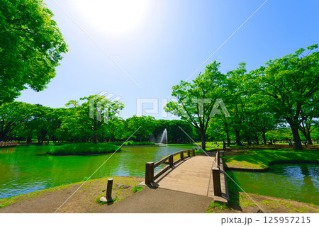 【東京都】5月・ゴールデンウイークに観光で代々木公園でお弁当を食べる 125957215