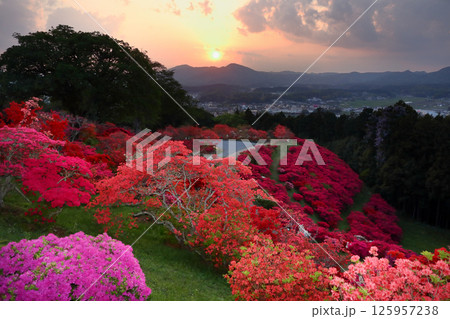 ロマンチック茨城（仏頂山に日が沈む頃、つつじ公園の鮮やかな夜が始まる。）笠間市つつじ公園ライトアップ 125957238