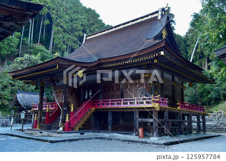 日吉大社 東本宮の本殿 日吉大社 東本宮の本殿 125957784