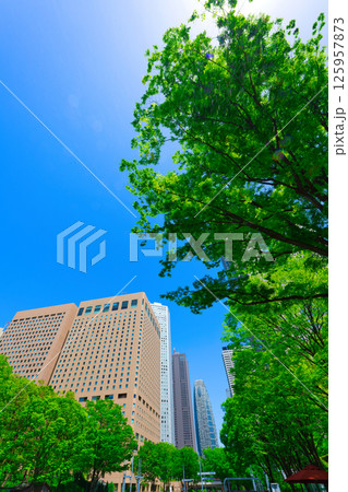 【東京都】5月・新宿中央公園、周辺の都市風景 125957873