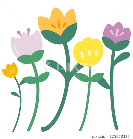 Mix Tulips Mix Tulips 125958325