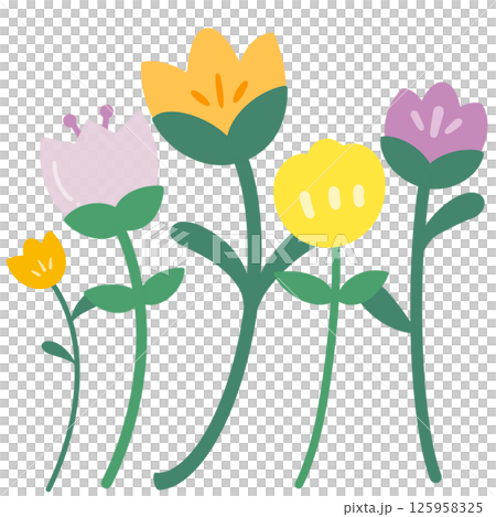 Mix Tulips Mix Tulips 125958325