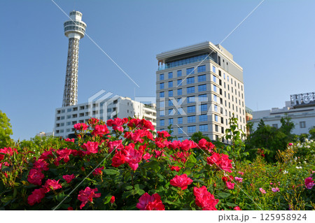 横浜・山下公園 125958924