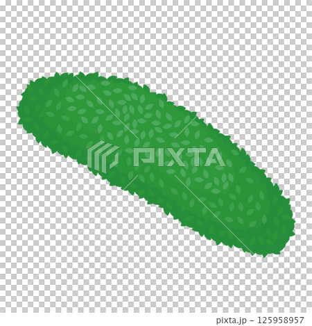 丸くて細長い植え込みのイラスト 125958957