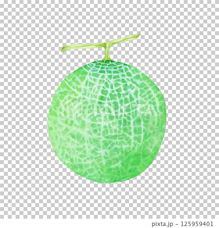 メロン　果物　水彩 イラスト 125959401