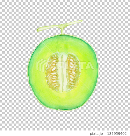 メロン　果物 断面　水彩 イラスト 125959402