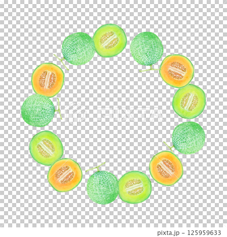 メロン 果物　フレーム　水彩 イラスト 125959633