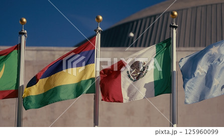 Flags of the world waving at the United Nations headquarters in New York Flags of the world waving at the United Nations headquarters in New York 125960099