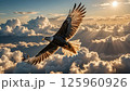 空高く雲の上を飛ぶワシ 125960926