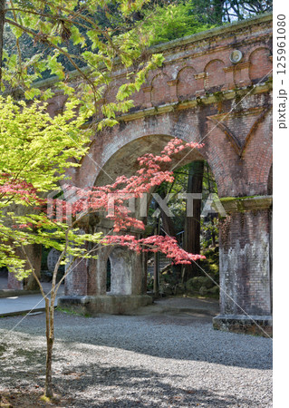 南禅寺の青紅葉と紅葉 125961080