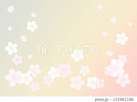 和柄の背景 125961186