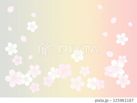 和柄の背景 125961187