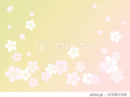 和柄の背景 125961189